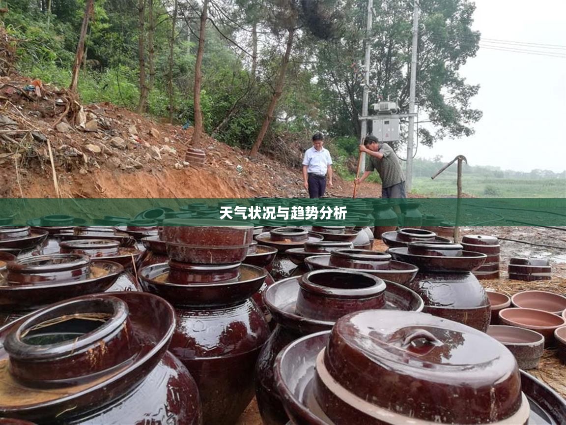 昆山花桥天气预报详解，天气状况与趋势分析