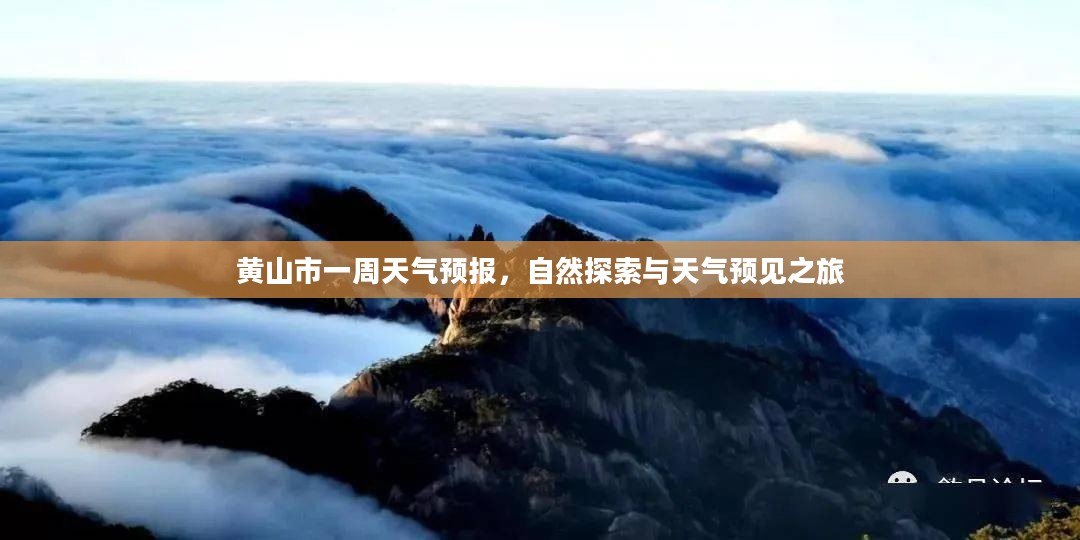 黄山市一周天气预报，自然探索与天气预见之旅