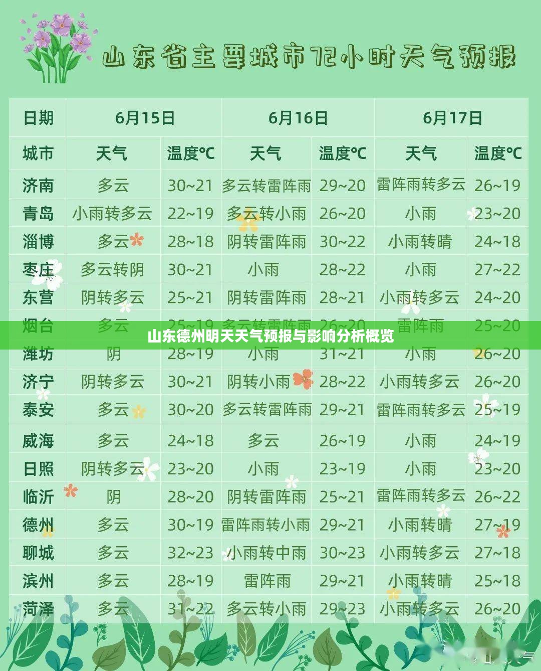 山东德州明天天气预报与影响分析概览