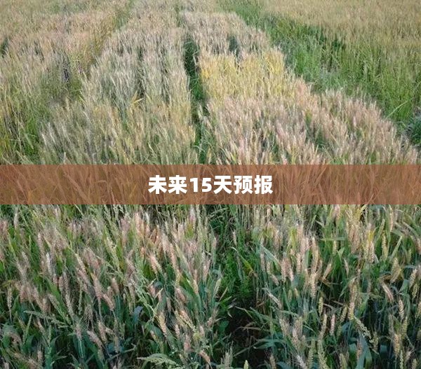 济宁高新区未来15天天气预报概览 济宁高新区未来15天天气预报概览