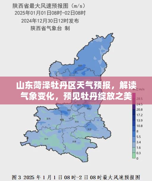 山东菏泽牡丹区天气预报，解读气象变化，预见牡丹绽放之美