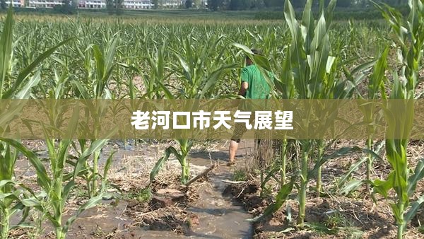 老河口市未来30天天气展望及预测分析 老河口市未来30天天气展望及预测分析
