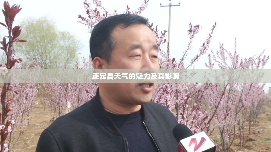 正定县天气的魅力及其影响 正定县天气的魅力及其影响