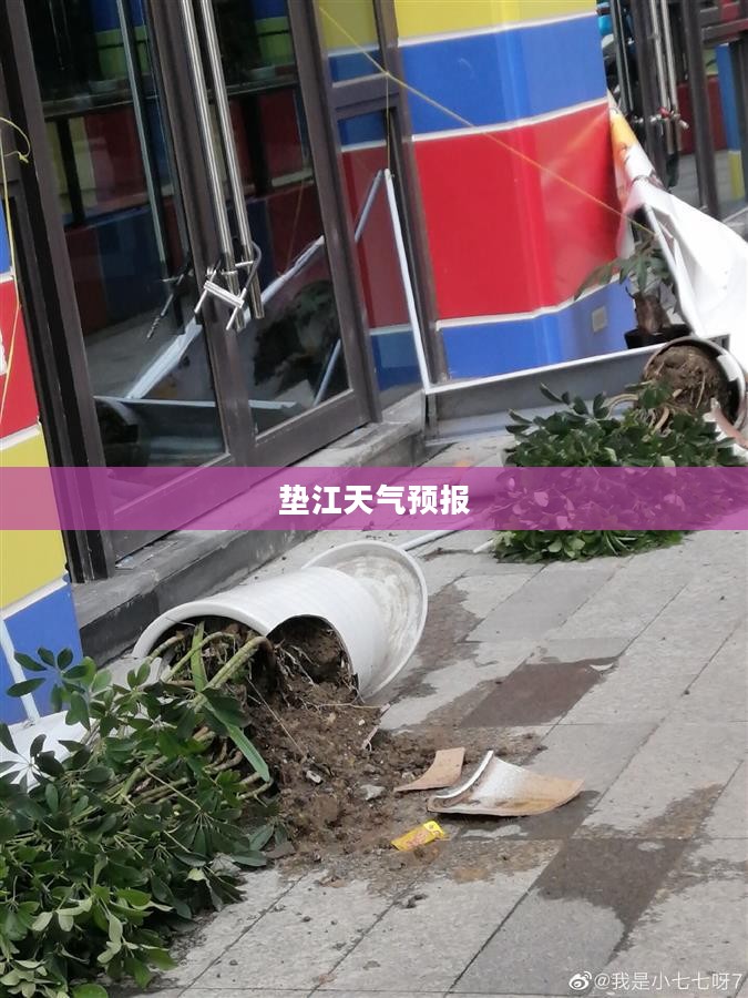 垫江未来十五日天气预报详解
