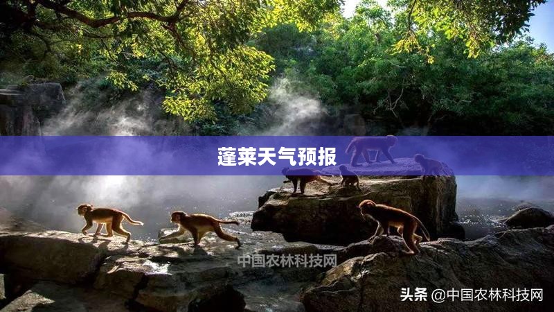 蓬莱明天及一周天气预报详细解析