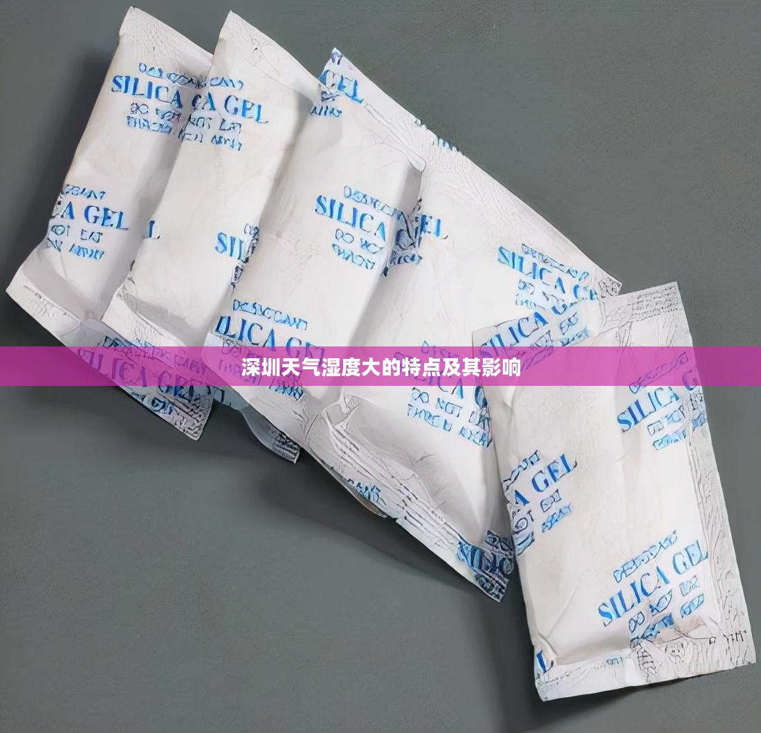 深圳天气湿度大的特点及其影响