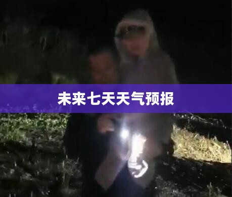 辽宁抚顺未来七天天气预报概览
