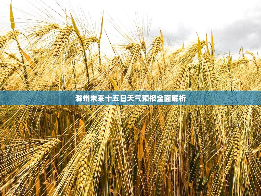滁州未来十五日天气预报全面解析