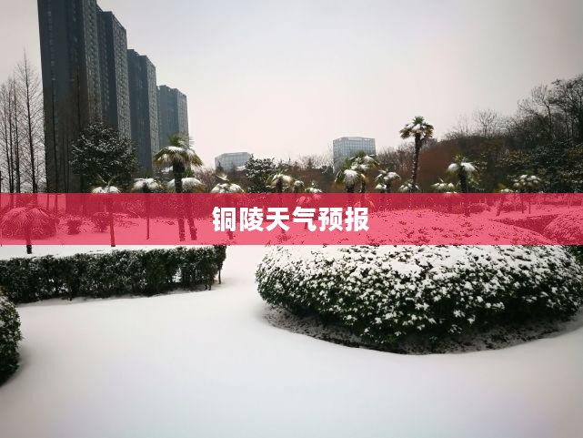 铜陵天气预报详解，探索气象变化，洞悉未来天气模式
