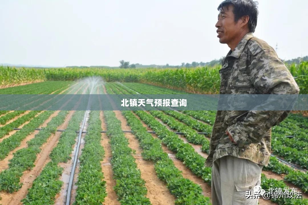 北镇天气预报查询，精准掌握天气变化，助力日常生活与工作决策