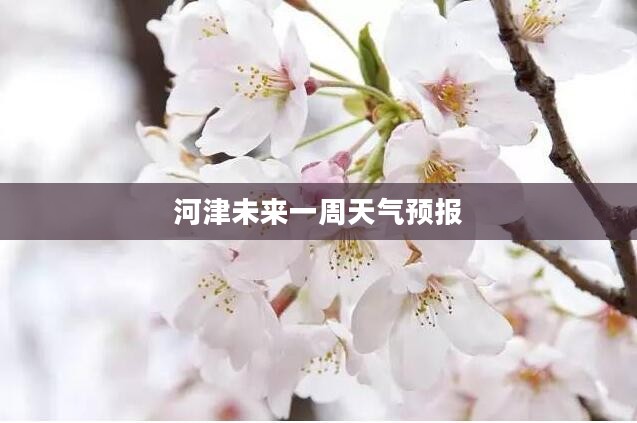 河津未来一周天气预报概述