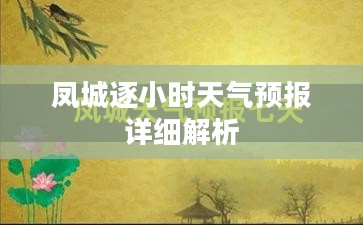 凤城逐小时天气预报详细解析