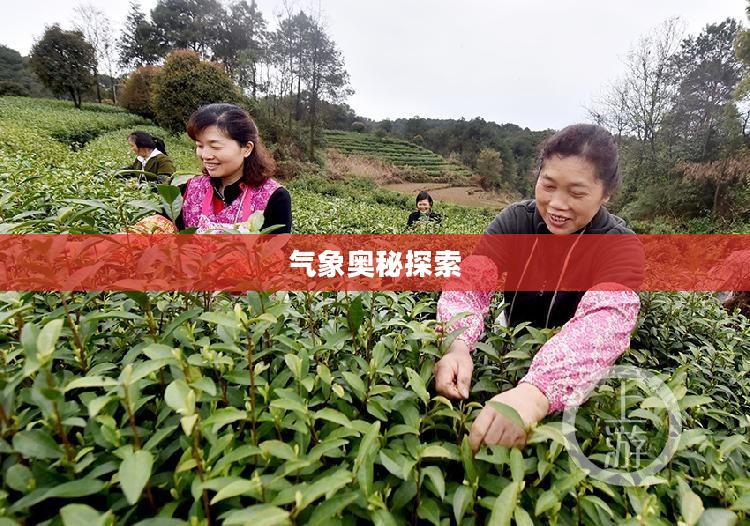 涪陵区龙头港天气，探索气象奥秘