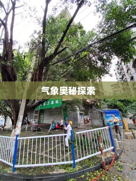 涪陵区龙头港天气,探索气象奥秘 涪陵区龙头港天气,探索气象奥秘