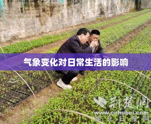 郧西天气预报湿度，气象变化如何影响日常生活