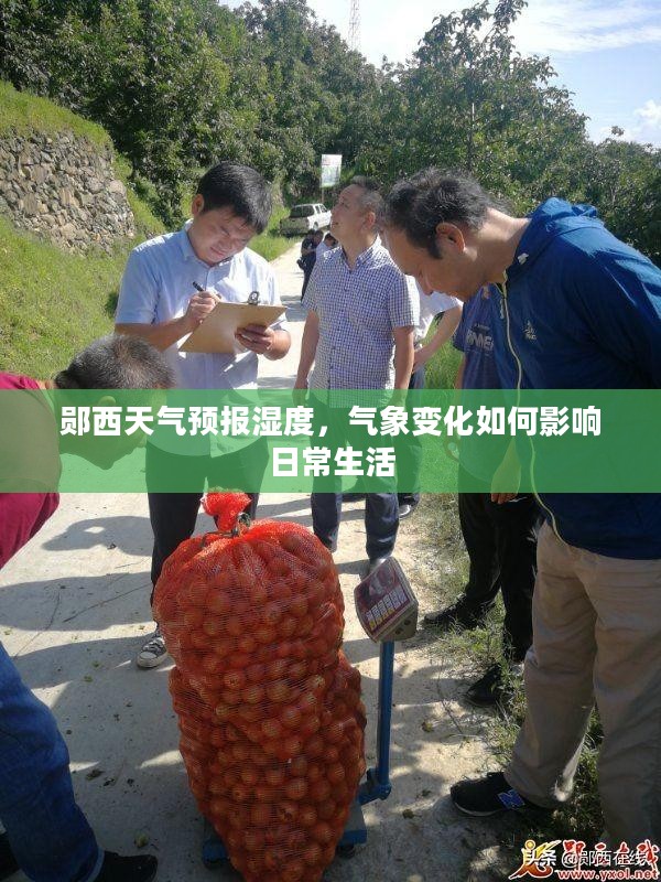 郧西天气预报湿度，气象变化如何影响日常生活