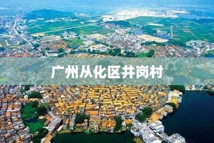 广州从化区井岗村一周天气展望