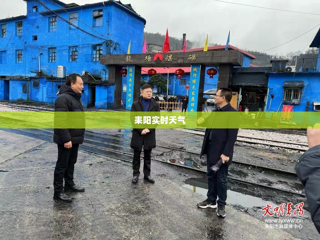 耒阳实时天气，气象变化对日常生活的影响