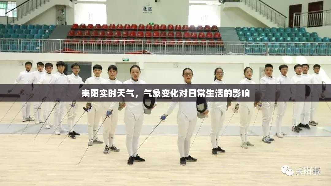耒阳实时天气,气象变化对日常生活的影响 耒阳实时天气,气象变化对日常生活的影响