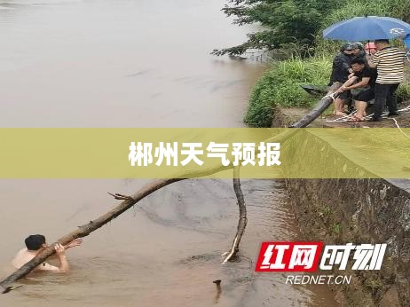郴州未来15天气预报及气象分析
