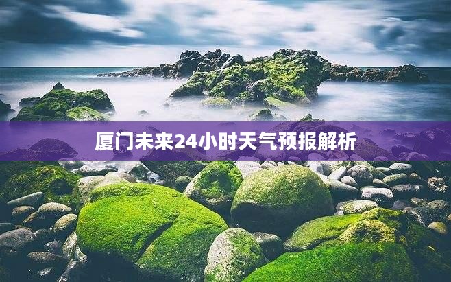 厦门未来24小时天气预报解析