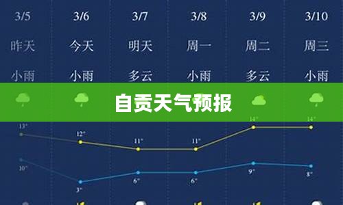 自贡未来45天天气预报概览及趋势分析