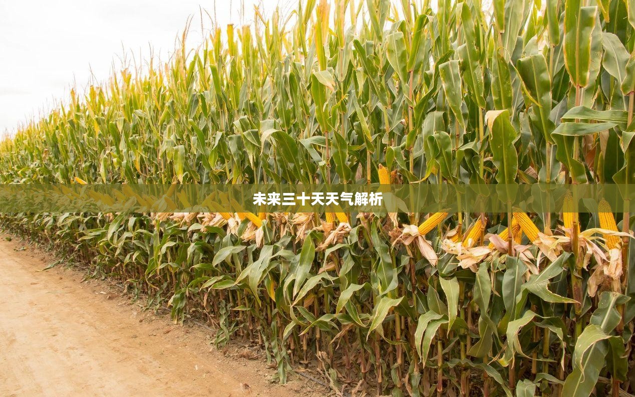 奇台总场未来三十天天气预报详细解析