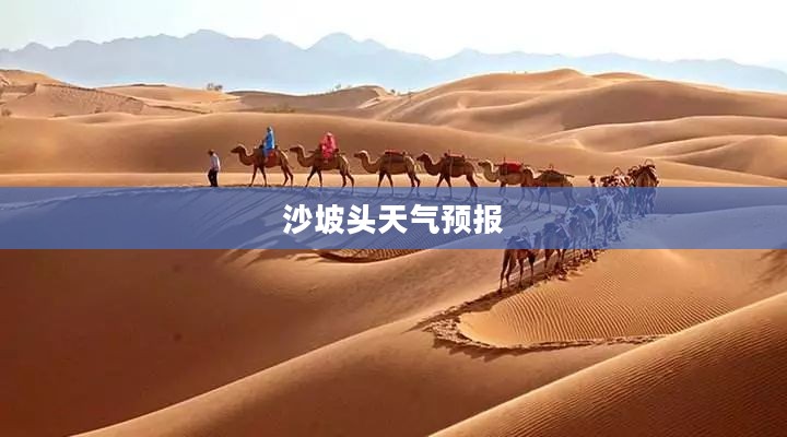 沙坡头明日天气预报与活动指南