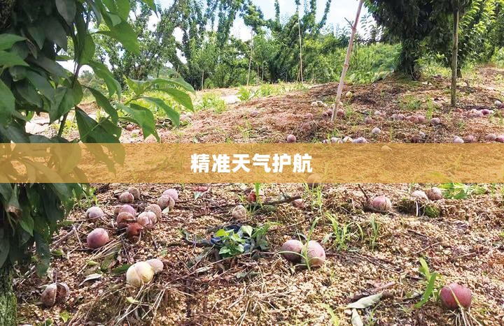 嵊州小时天气预报，精准掌握天气变化，护航您的生活之旅
