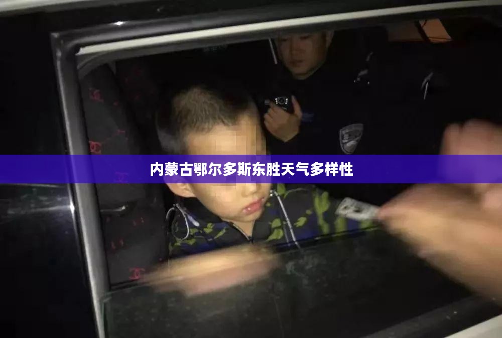 内蒙古鄂尔多斯东胜天气的多样性与独特魅力