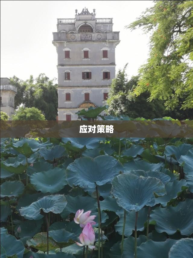 江门开平台风预报动态与应对策略