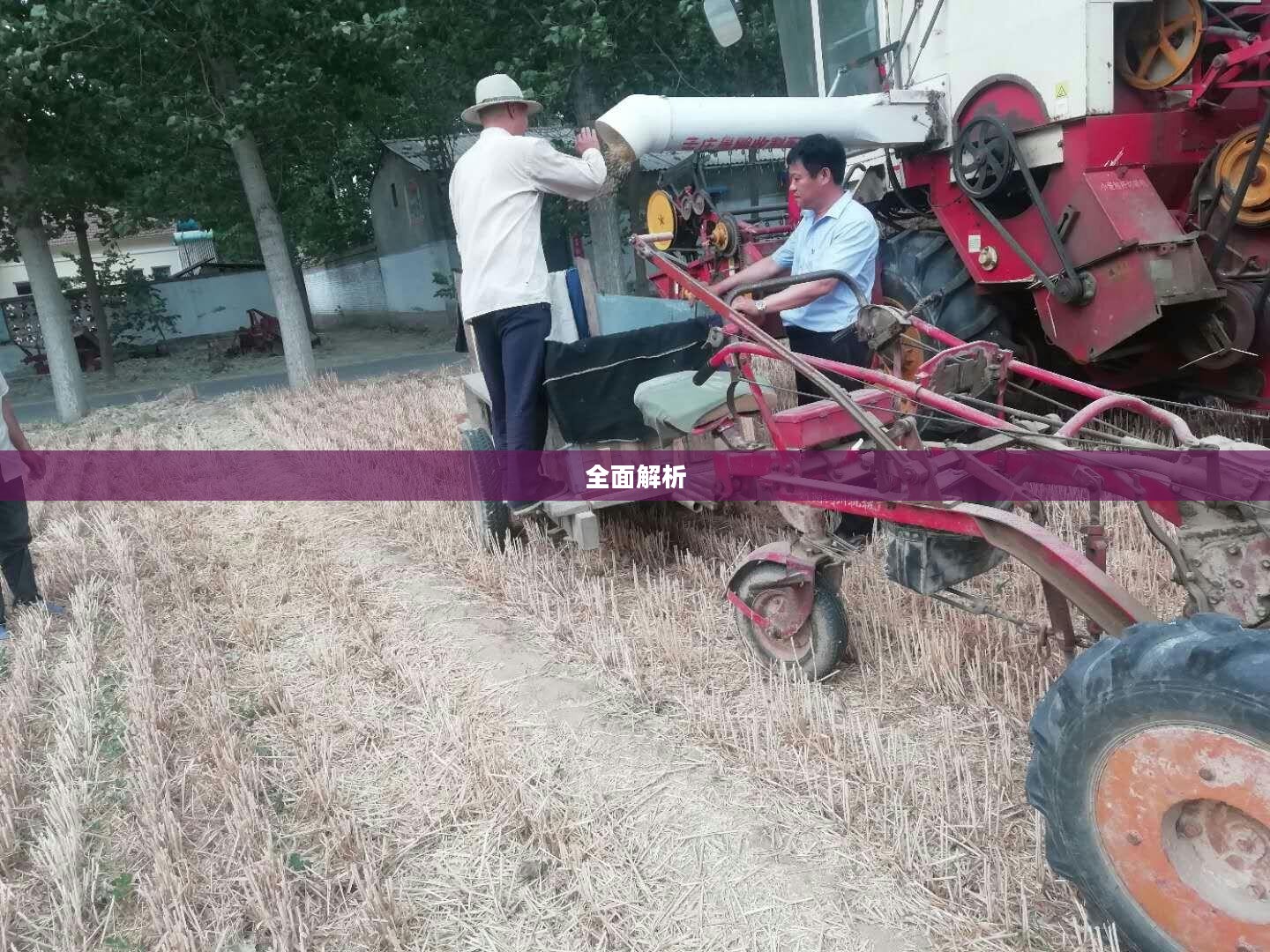 滑县天气预报全面解析