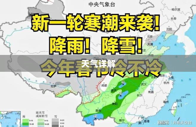 上海奉贤南桥今日天气预报详解 上海奉贤南桥今日天气预报详解