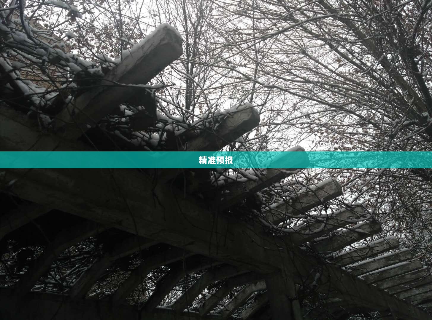 聊城天气精准预报，助力美好出行参考标题