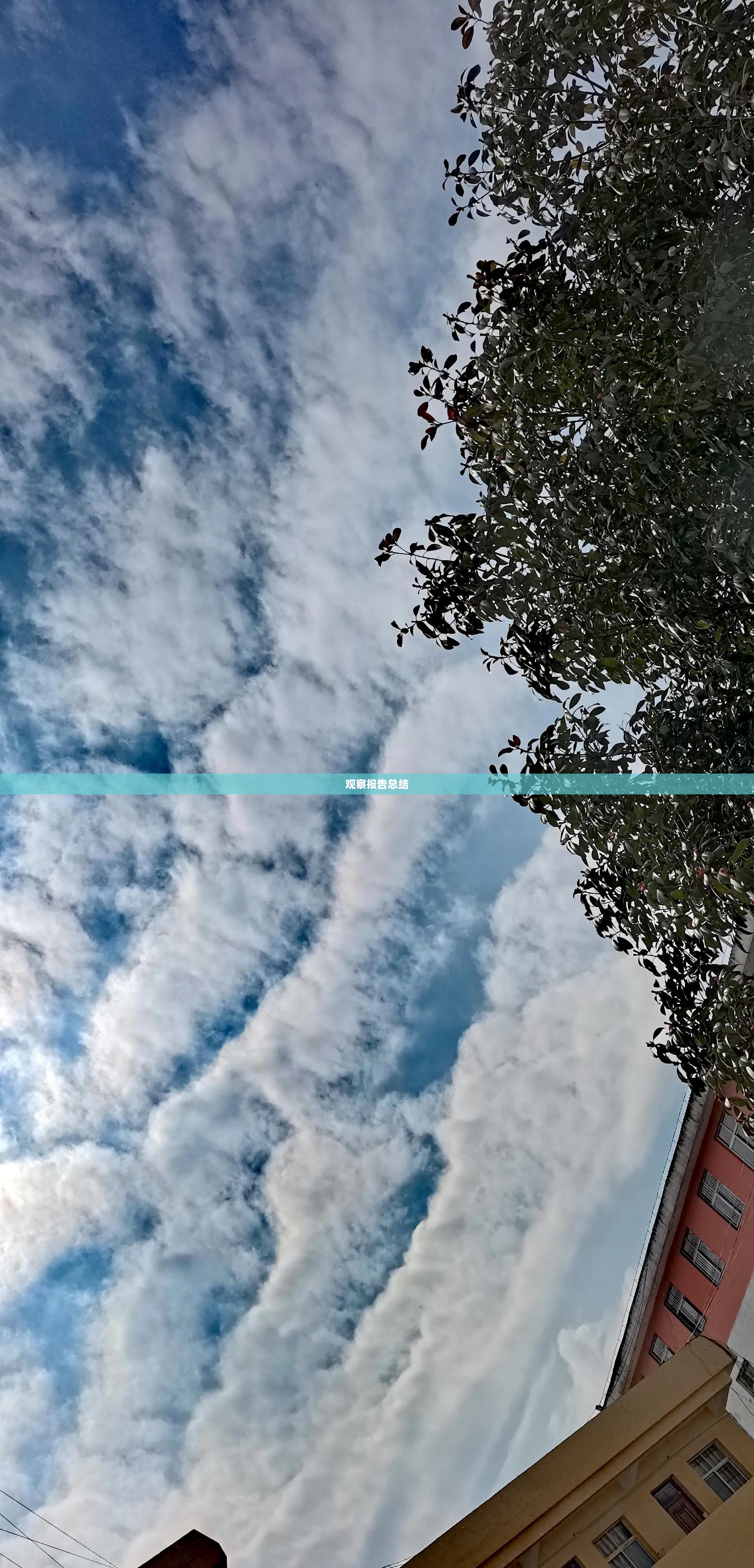 成都最近一周天气观察报告总结