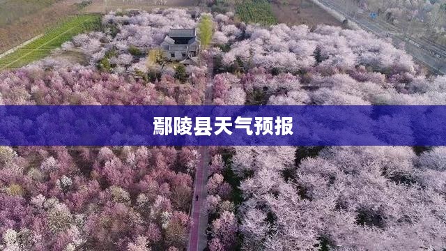 鄢陵县天气预报全面解析