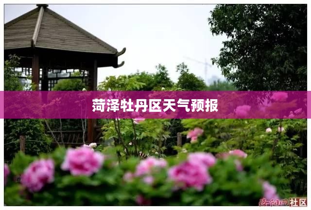 菏泽牡丹区未来15天天气预报及气象趋势分析