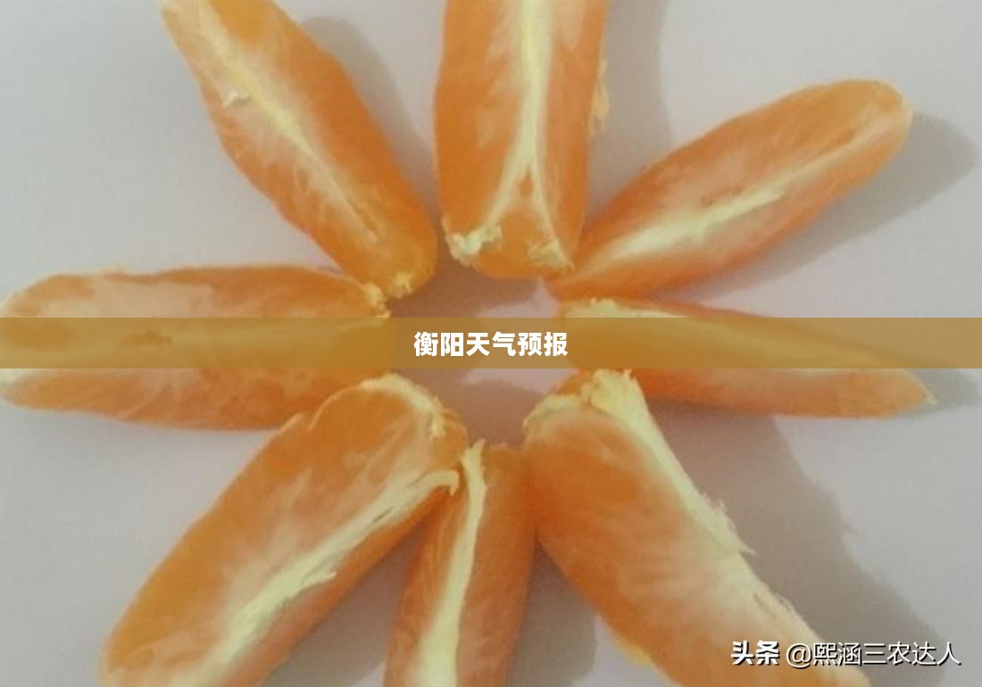 衡阳未来一个月天气预报及气候展望