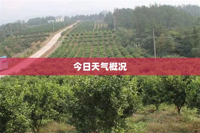 宜昌今日天气概况