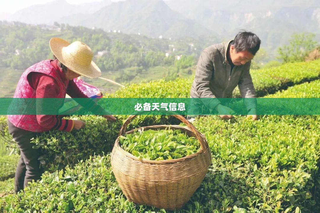 宜昌天气预报，全天候掌握未来天气的必备信息
