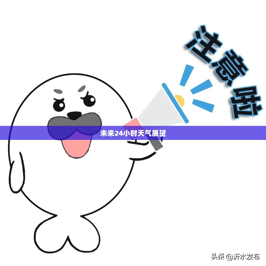 沂水地区全天候天气预报详解，未来24小时天气展望及气象分析