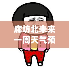 廊坊北未来一周天气预报及生活建议