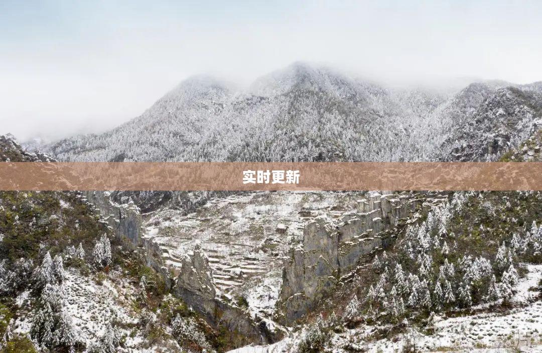 枞阳天气预报实时更新，掌握天气变化，助力有序生活