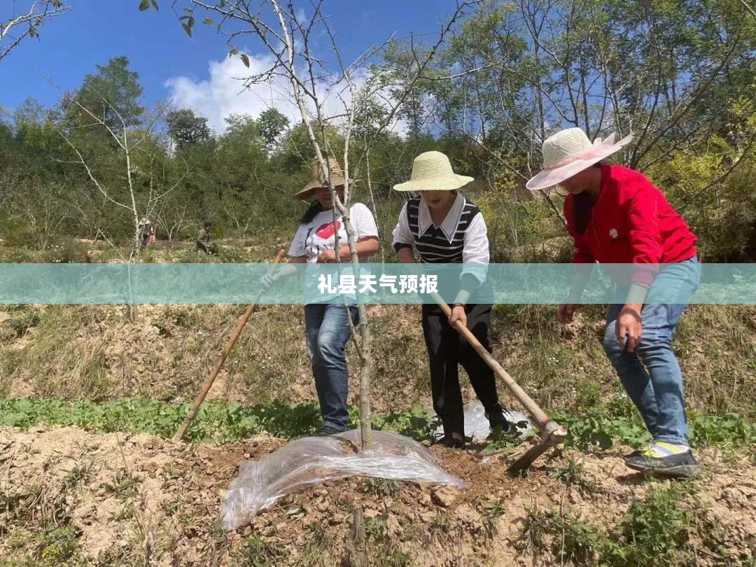 礼县一周天气预报详细解析 礼县一周天气预报详细解析