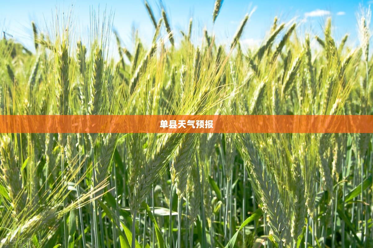 单县未来一周天气预报详解