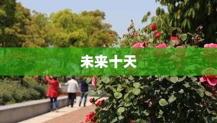 上海宝山未来十天天气预报概览 上海宝山未来十天天气预报概览