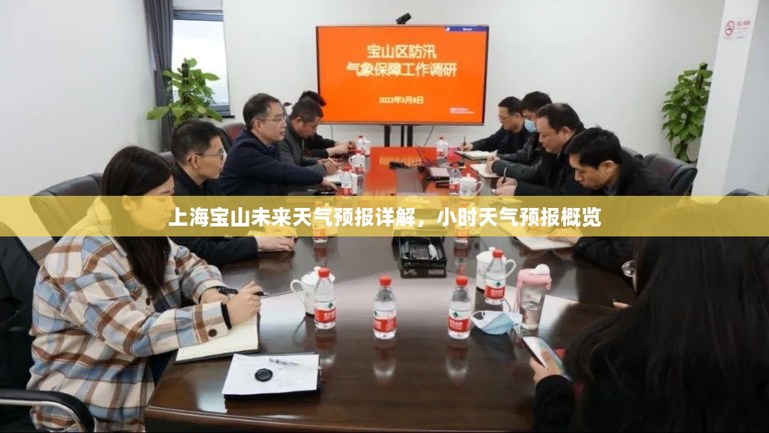 上海宝山未来天气预报详解，小时天气预报概览
