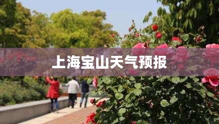 上海宝山未来24小时天气预报详解