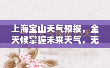 上海宝山天气预报，全天候掌握未来天气，无忧出行