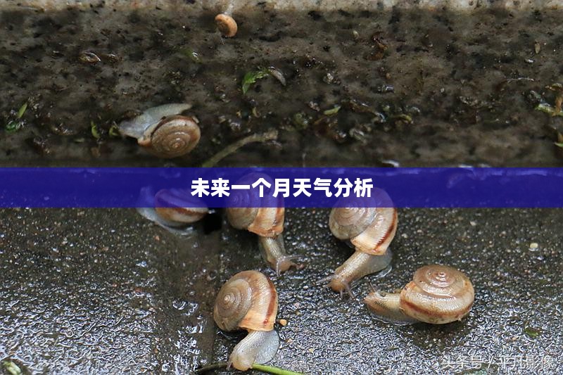 西安未来一个月天气预报分析